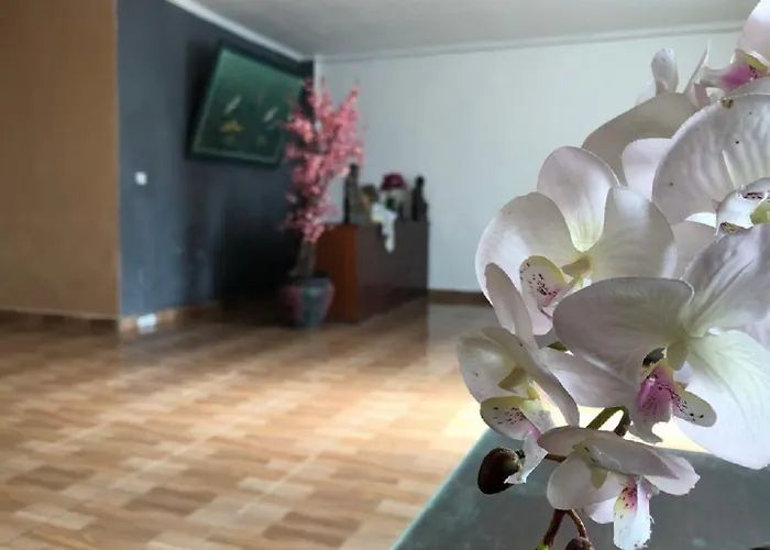 Guest house Arta Garden Ubud (Bali)